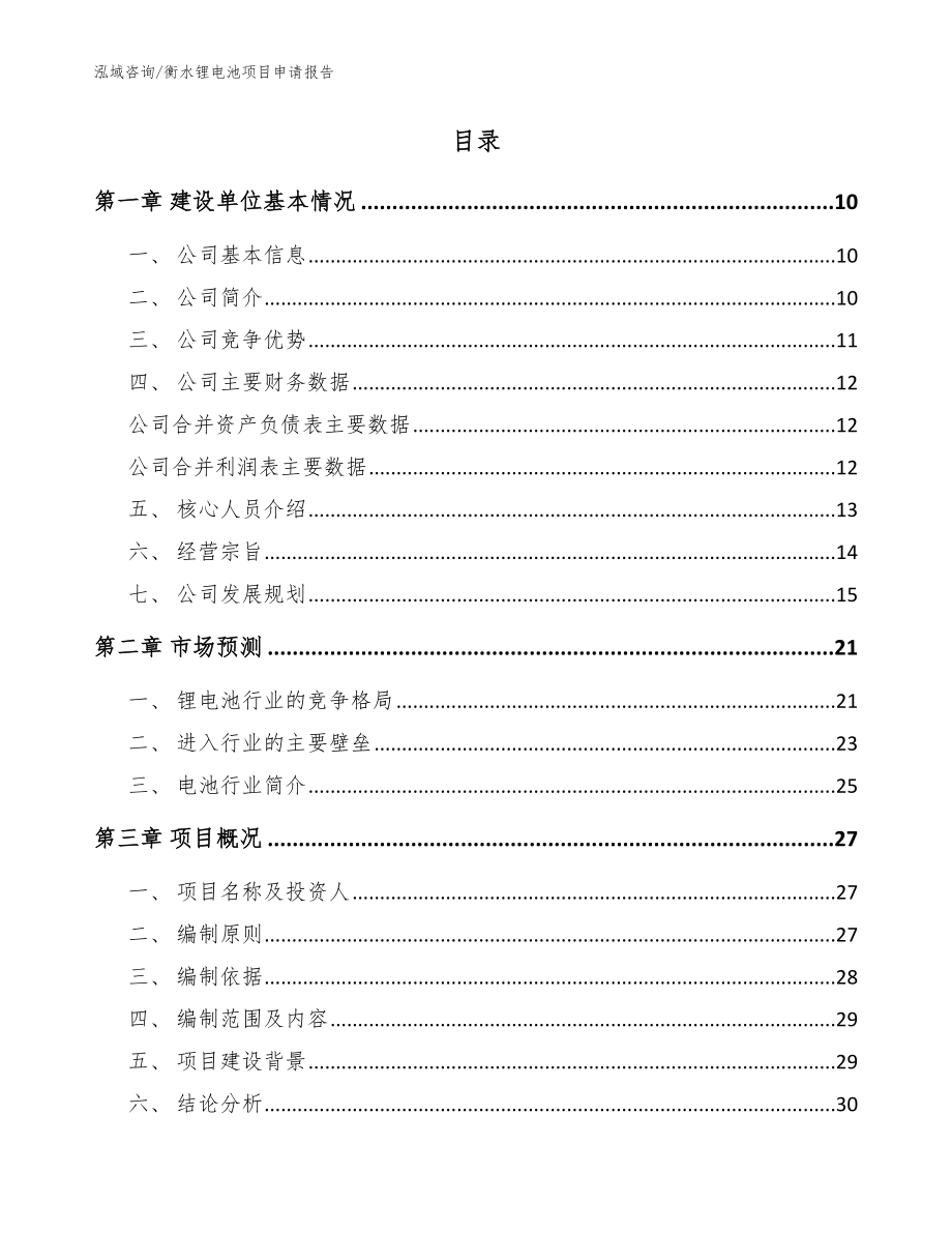 衡水锂电池项目申请报告（范文）_第2页