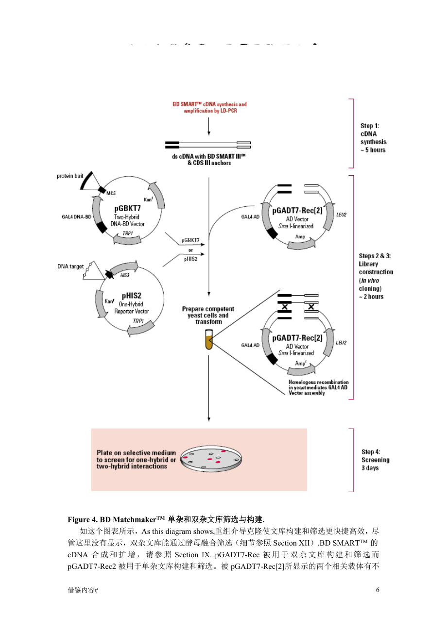 CLONTECH酵母双杂中文版#优质参考_第5页
