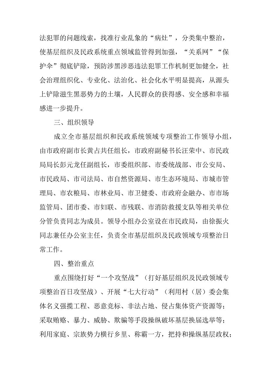 2023年基层组织及民政领域专项整治方案_第2页