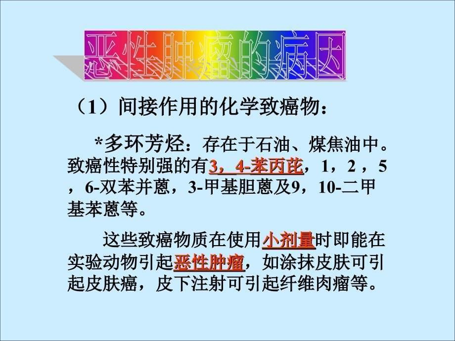 恶性肿瘤的病因课件_第5页