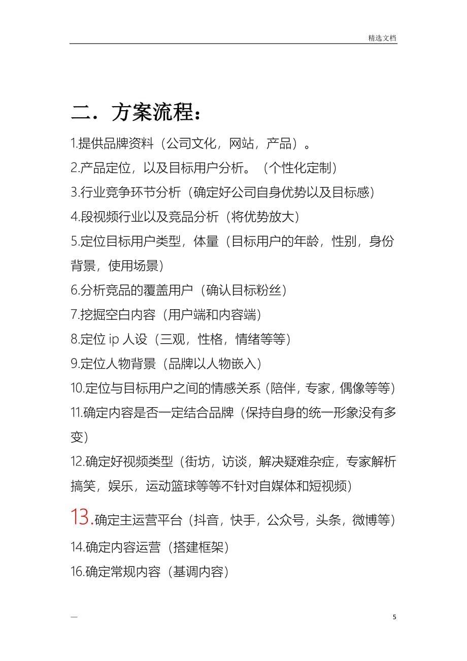 网络短视频运营规划书_第5页