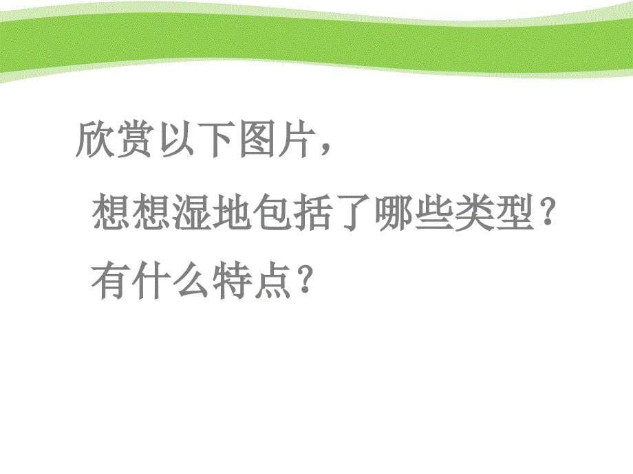 湿地资源的开发与保护以洞庭湖为例ppt课件_第5页