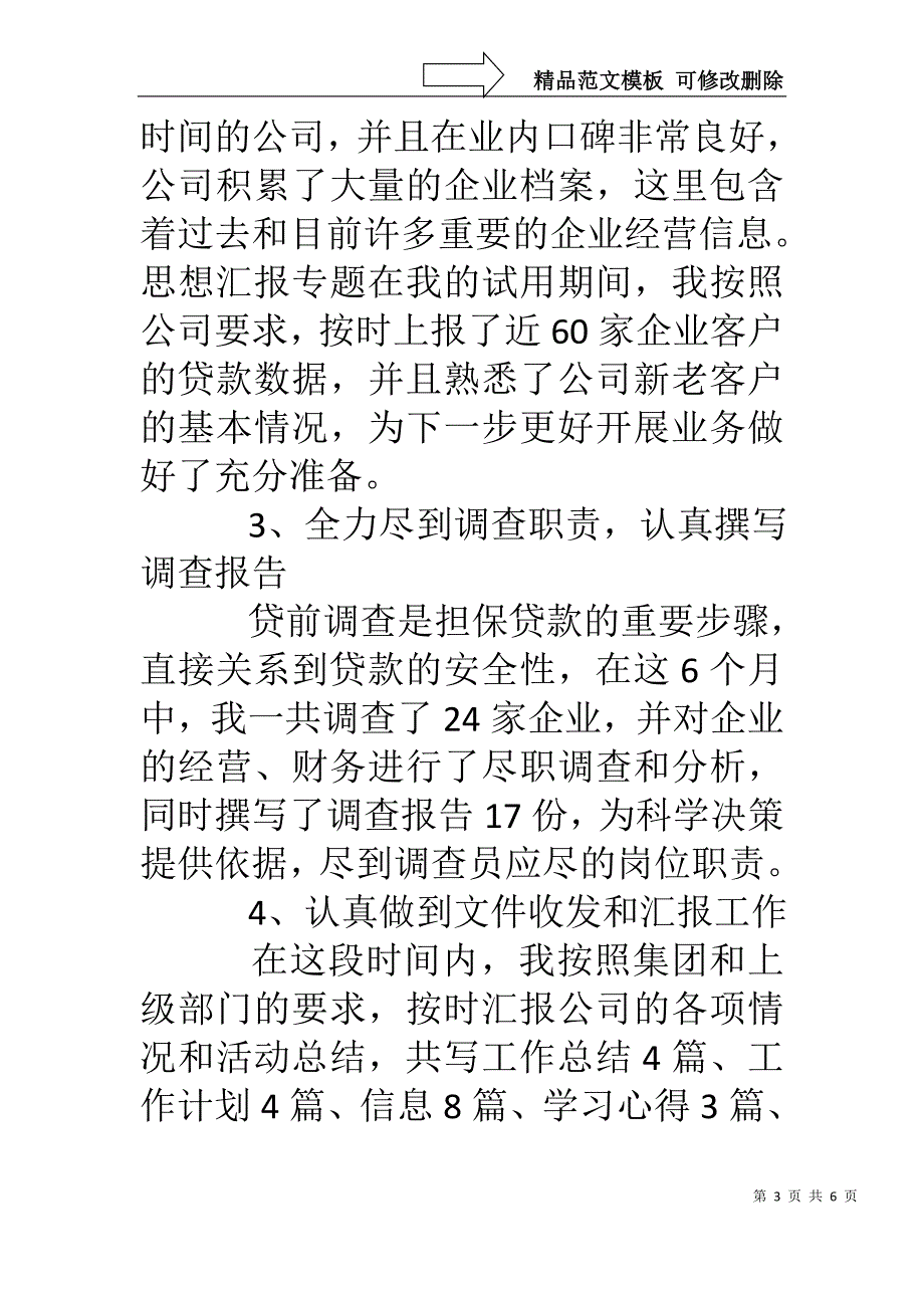 担保公司试用期工作总结_第3页