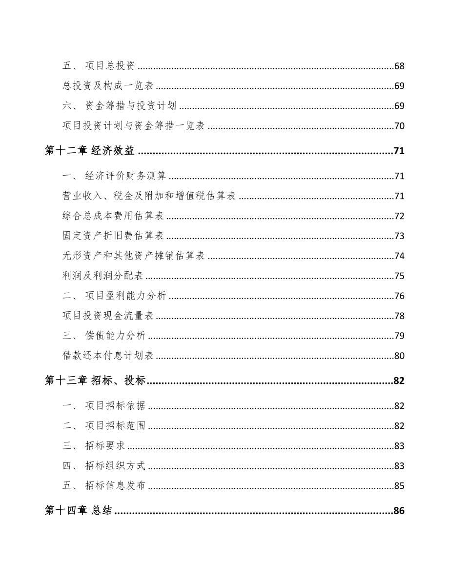 西安铝箔项目可行性研究报告(DOC 61页)_第5页