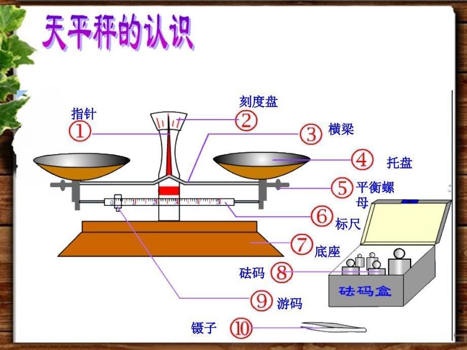 西师大版三年级数学上册克千克的认识张秀兰_第5页