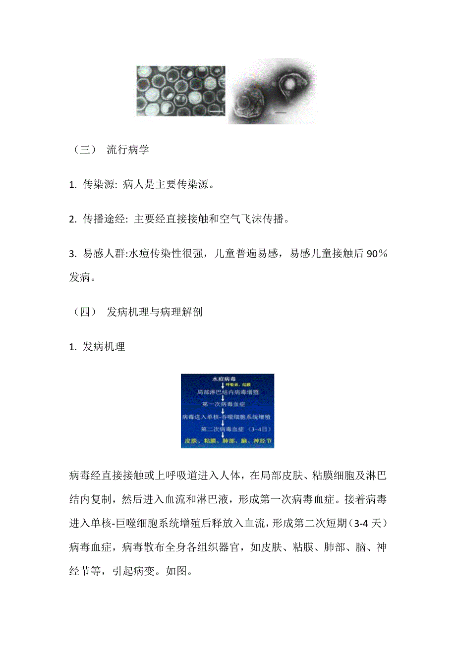 带状疱疹优秀课件经典实用_第2页