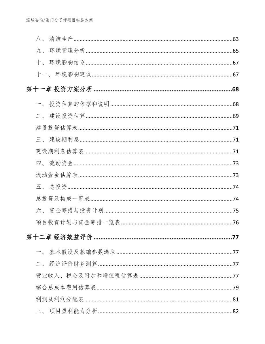 荆门分子筛项目实施方案（范文）_第5页