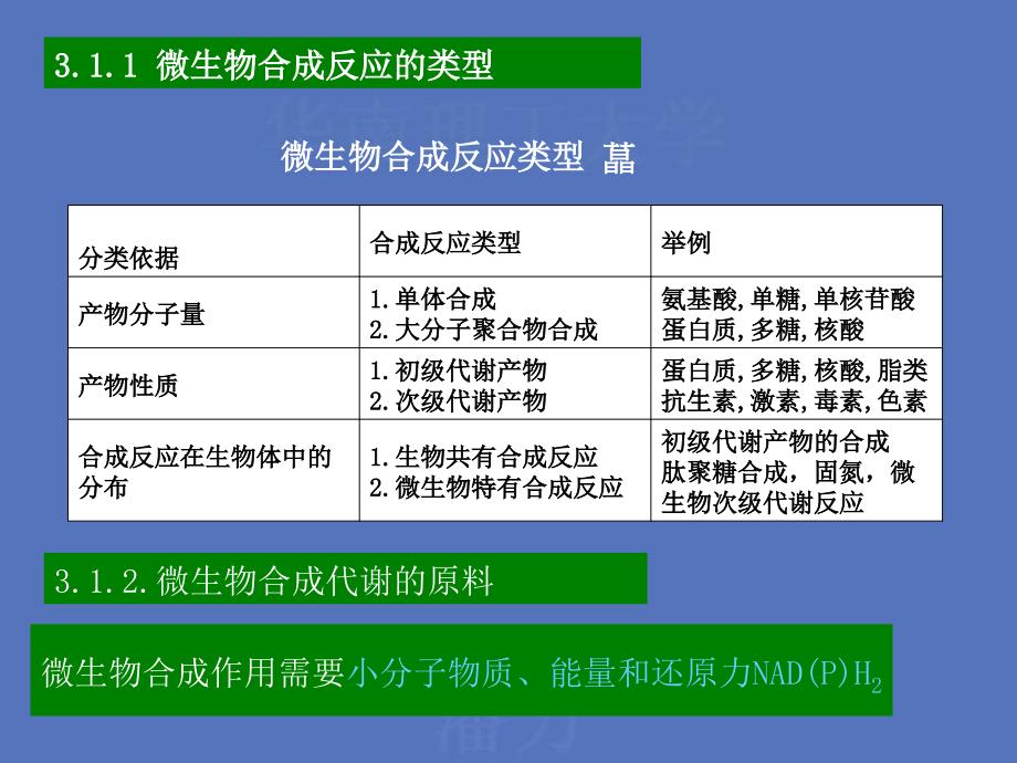 微生物的合成代谢_第2页