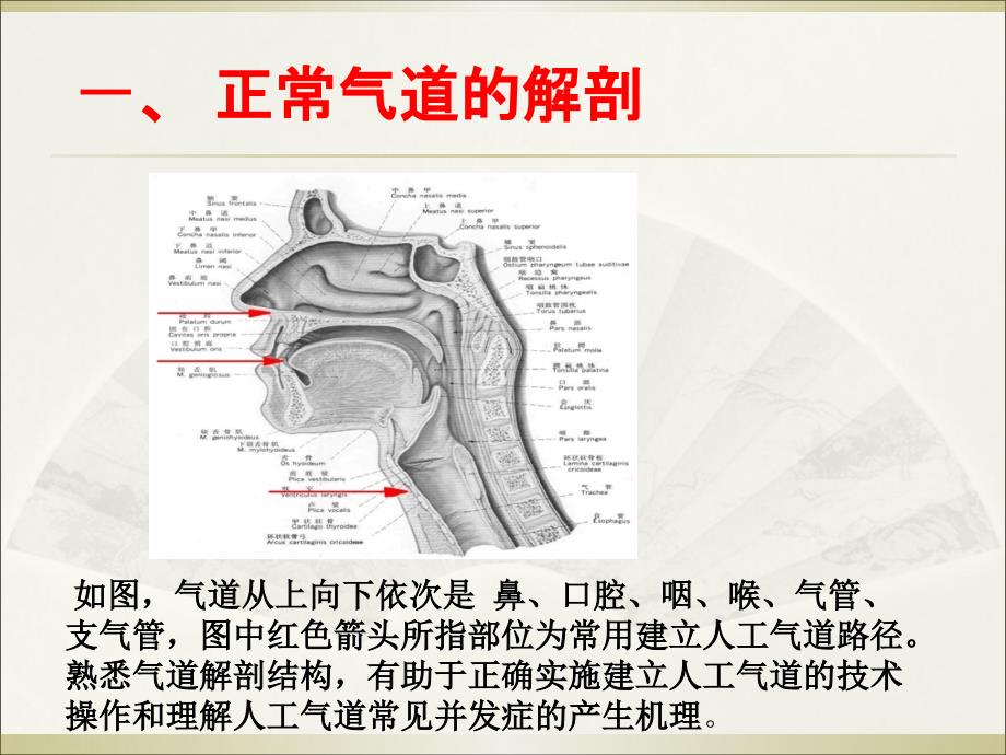 紧急人工气道的建立和管理课件_第2页