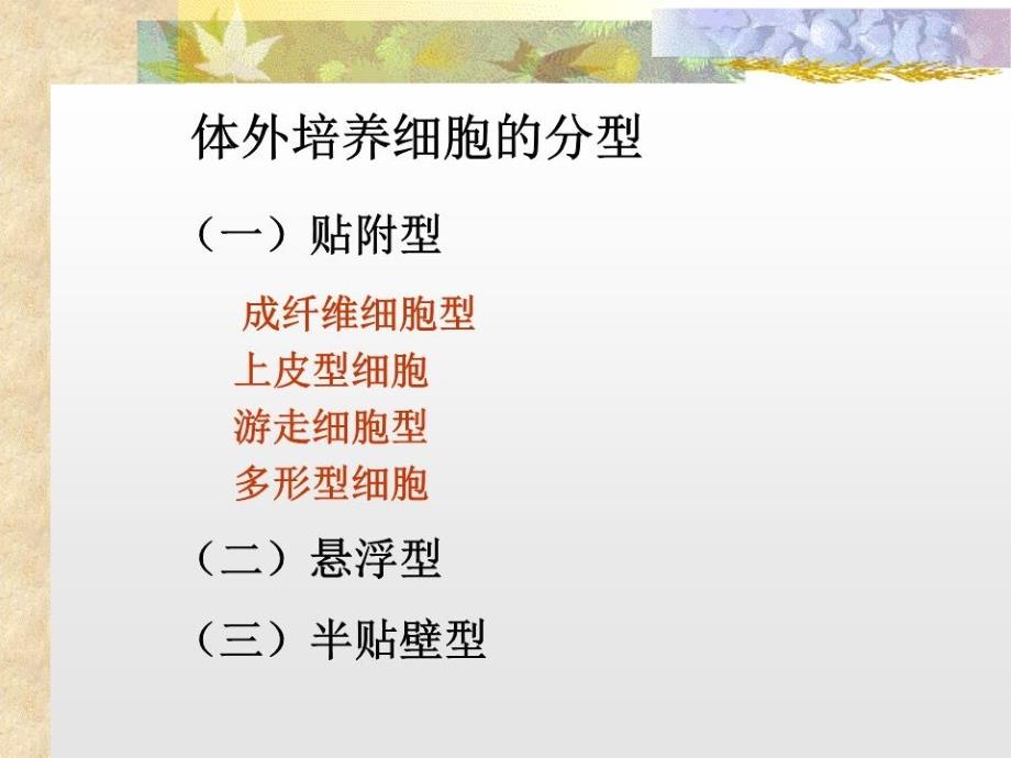 动物细胞培养技术.ppt_第4页