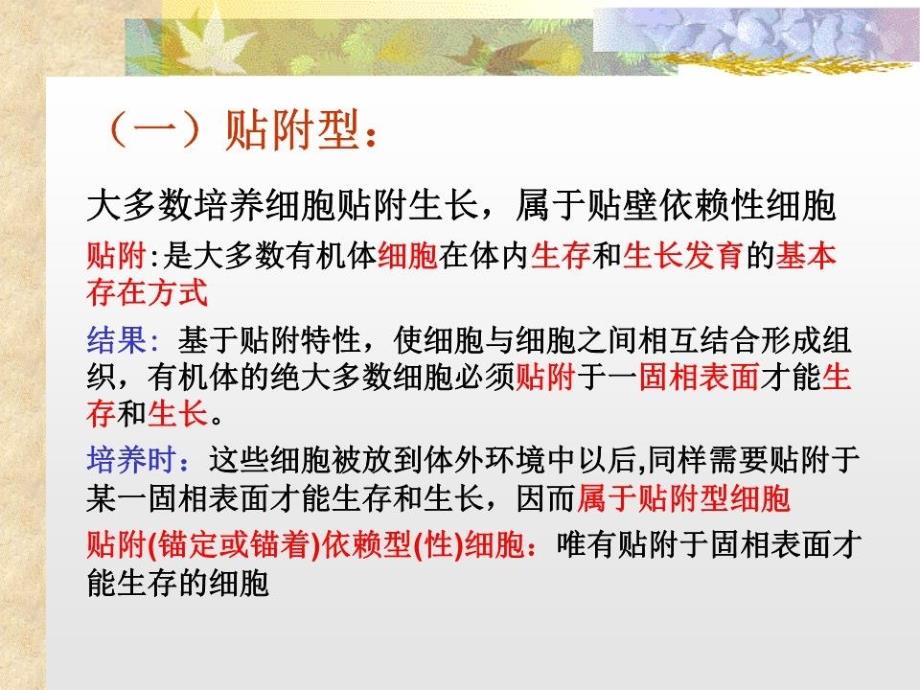 动物细胞培养技术.ppt_第5页