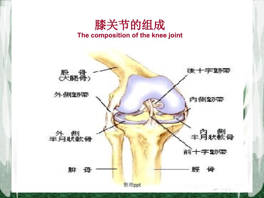 全膝关节置换术后护理PPT_第2页