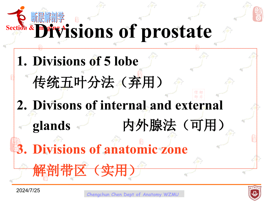 断层影像解剖学：2011-s-sectional anatomy of prostate_第2页