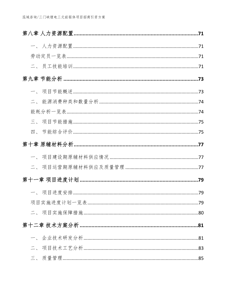 三门峡锂电三元前驱体项目招商引资方案（模板范本）_第4页