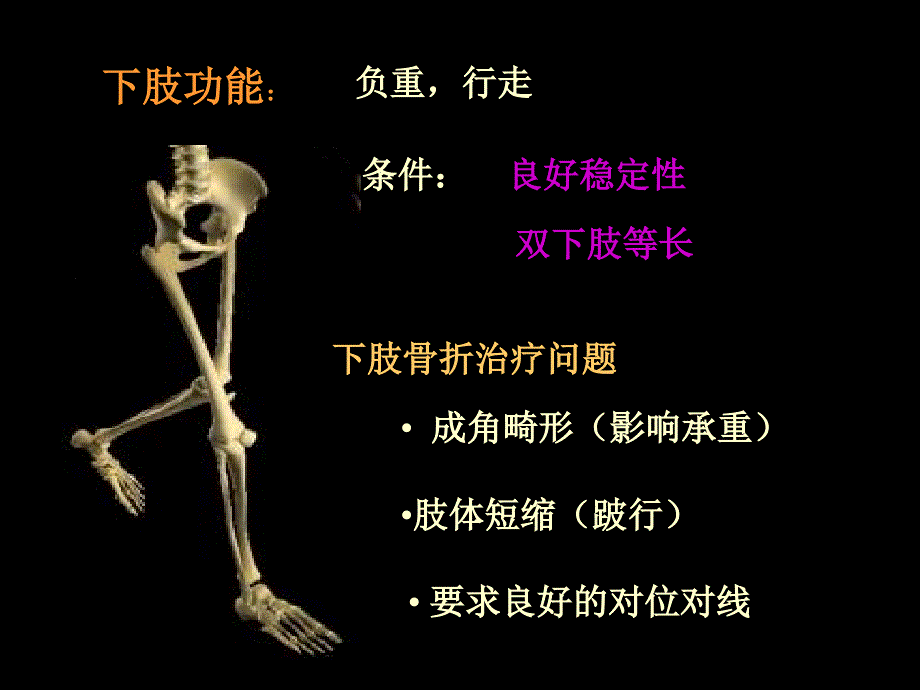 《中医骨伤科学》教学课件：下肢骨折_第3页