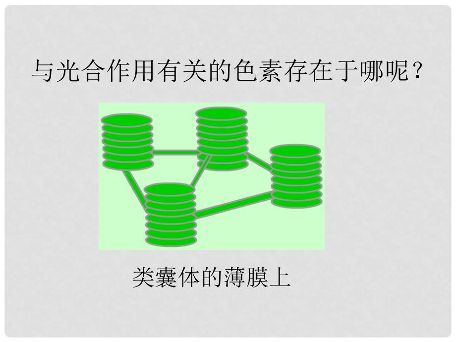 高中生物 5.4《能量之源—光与光合作用》12课件 新人教版必修1_第4页