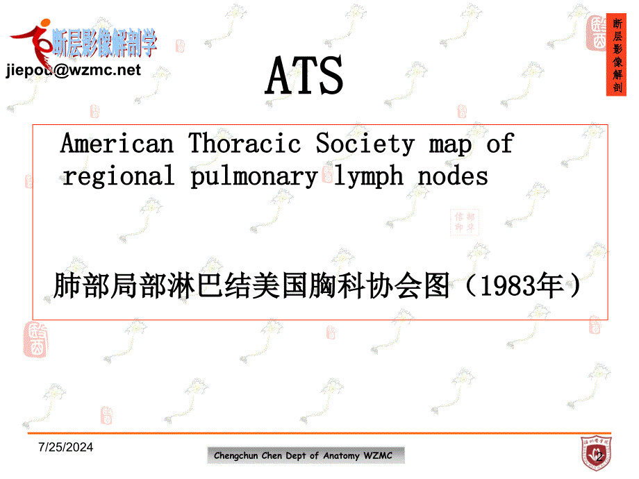 《局部解剖学》教学课件：ATS 胸部断层解剖学研究进展_第2页