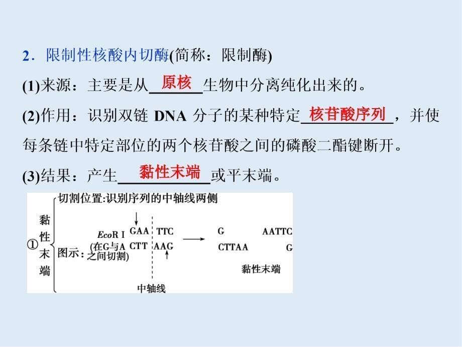 高中生物一轮复习方案课件：第11单元 1 第35讲基因工程及其安全性_第5页