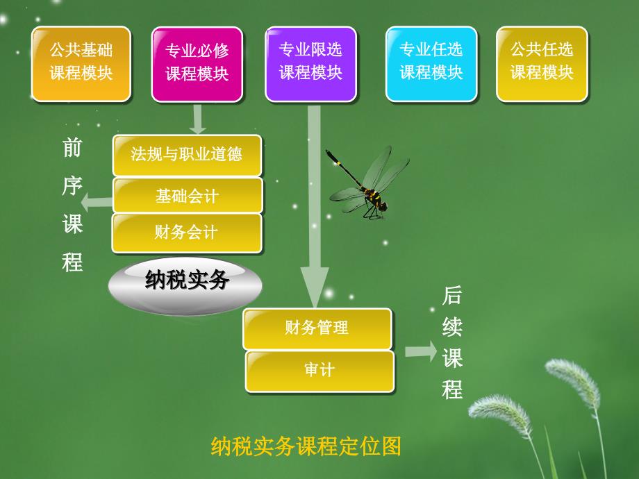 纳税实务课程整体设计介绍(ppt19张)课件_第4页