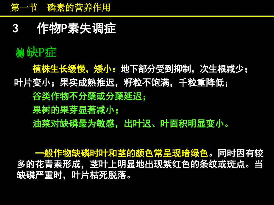 《磷素营养与磷肥》PPT课件.ppt_第3页