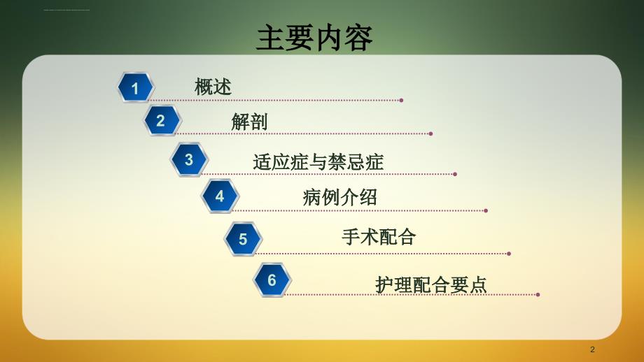 后腹腔镜下输尿管切开取石术ppt课件_第2页