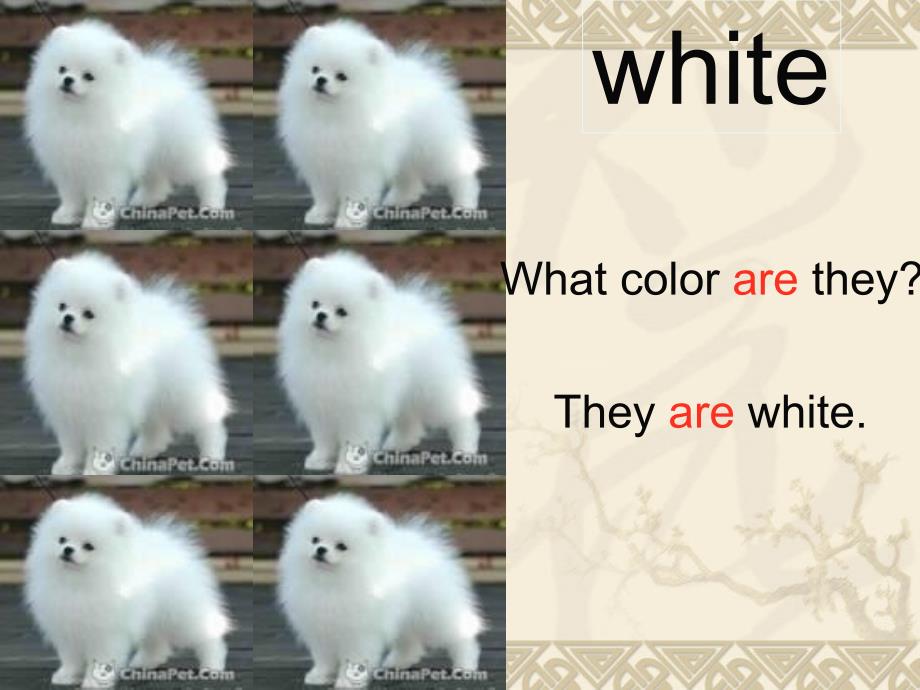 Whatcolorisit_第4页