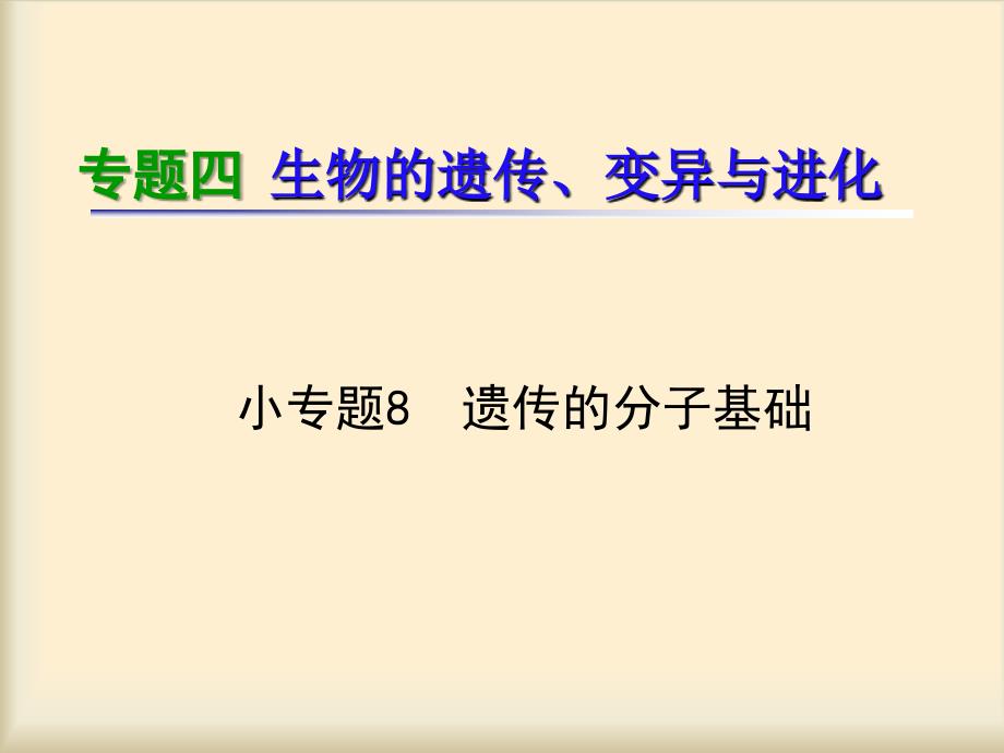 专题4小专题08遗传的分子基础_第1页