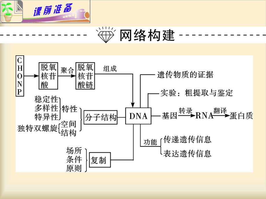 专题4小专题08遗传的分子基础_第3页