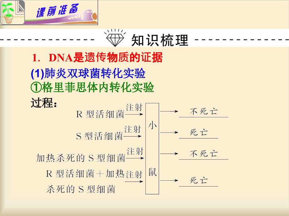 专题4小专题08遗传的分子基础_第4页