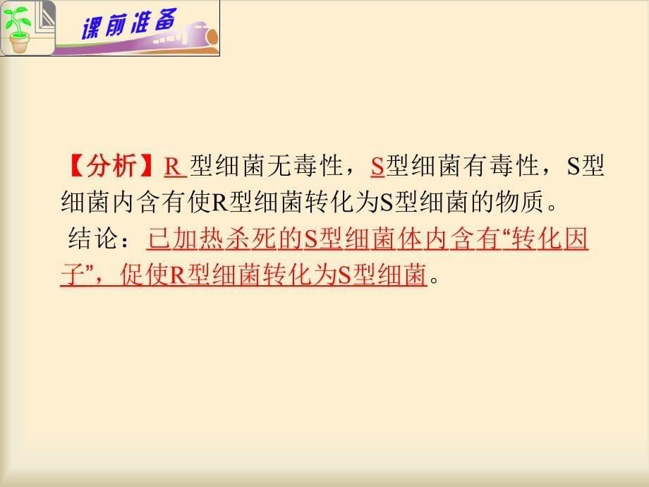 专题4小专题08遗传的分子基础_第5页