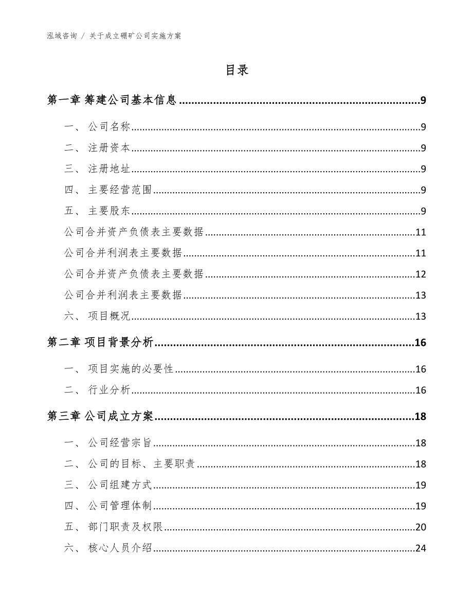 关于成立硼矿公司实施方案（模板范文）_第4页