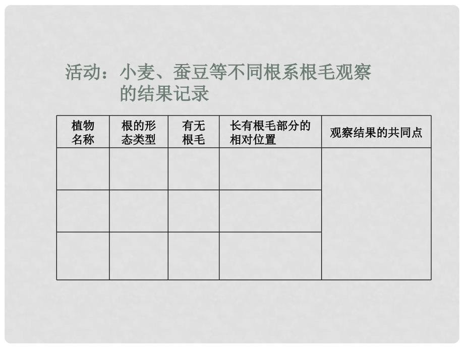 八年级科学下册 第六单元 根的形态和结构课件 华师大版_第5页