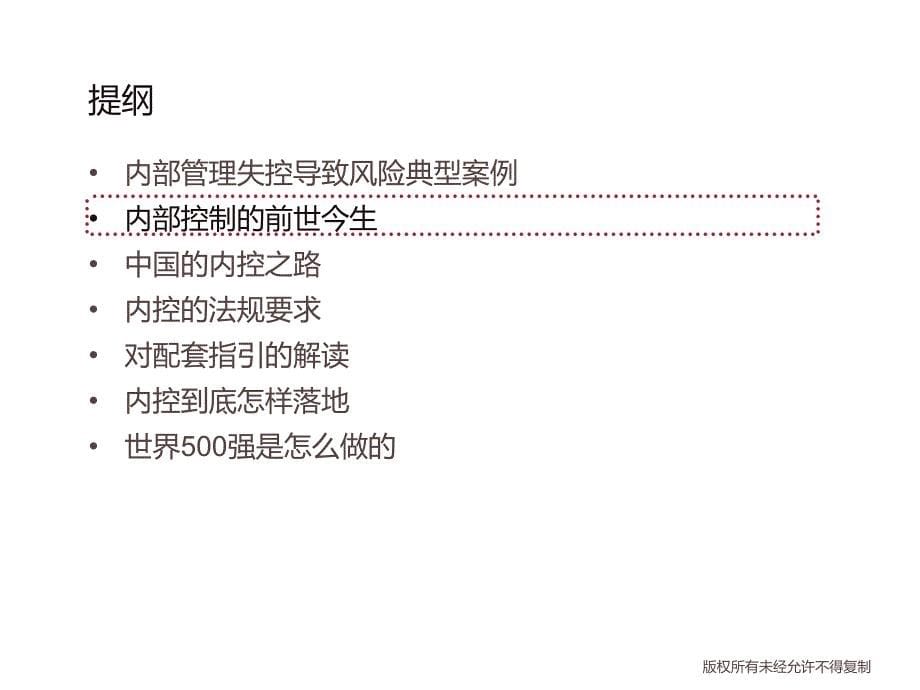 企业内部控制与全面风险管理实务_第5页