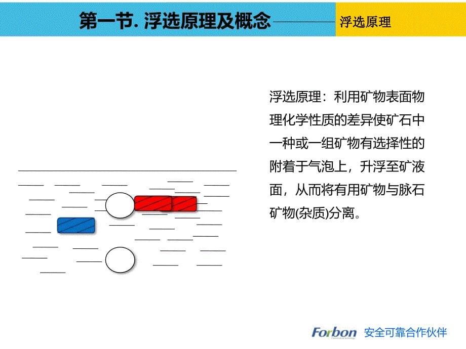 磷矿石浮选简介ppt课件_第5页