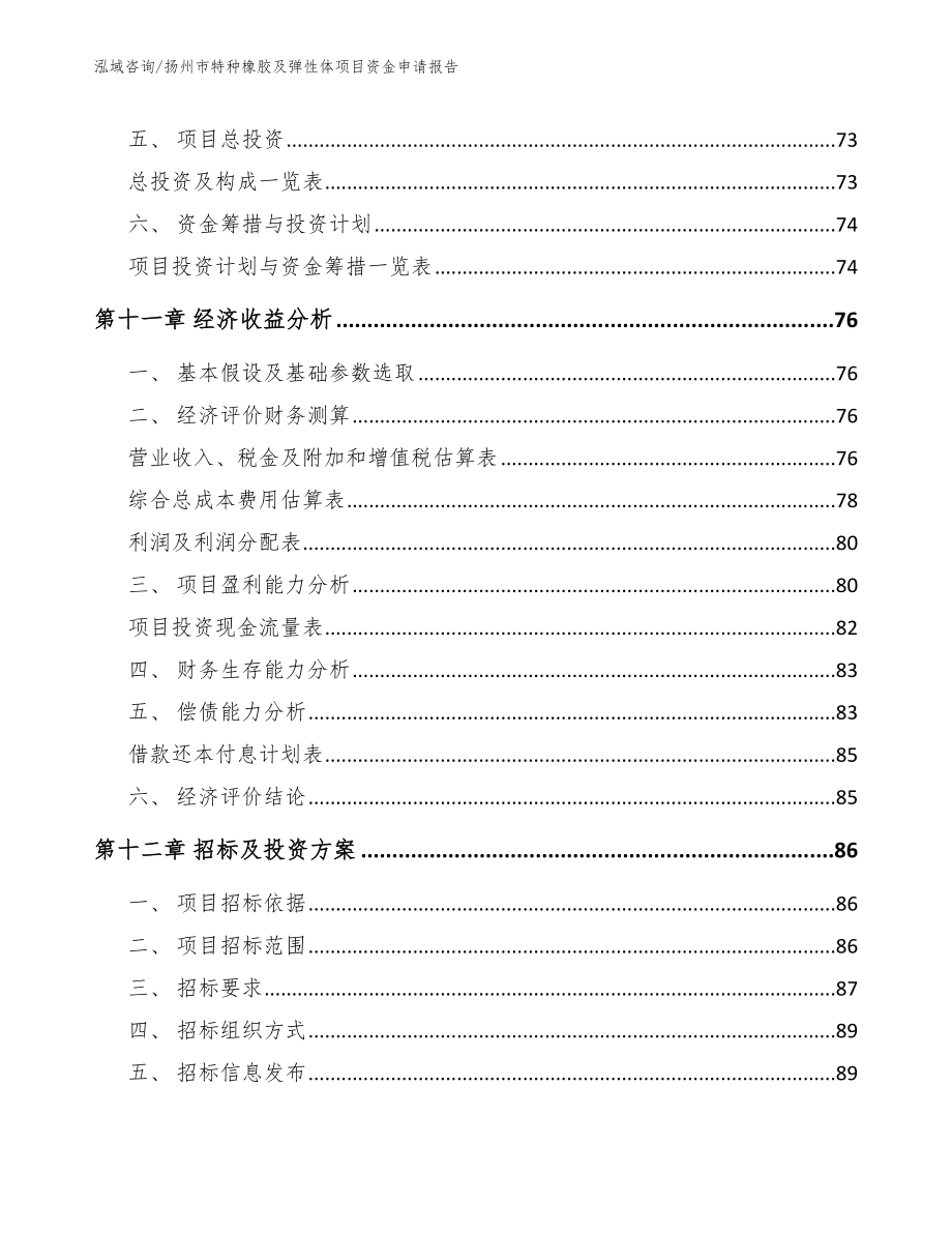 扬州市特种橡胶及弹性体项目资金申请报告【模板范本】_第4页
