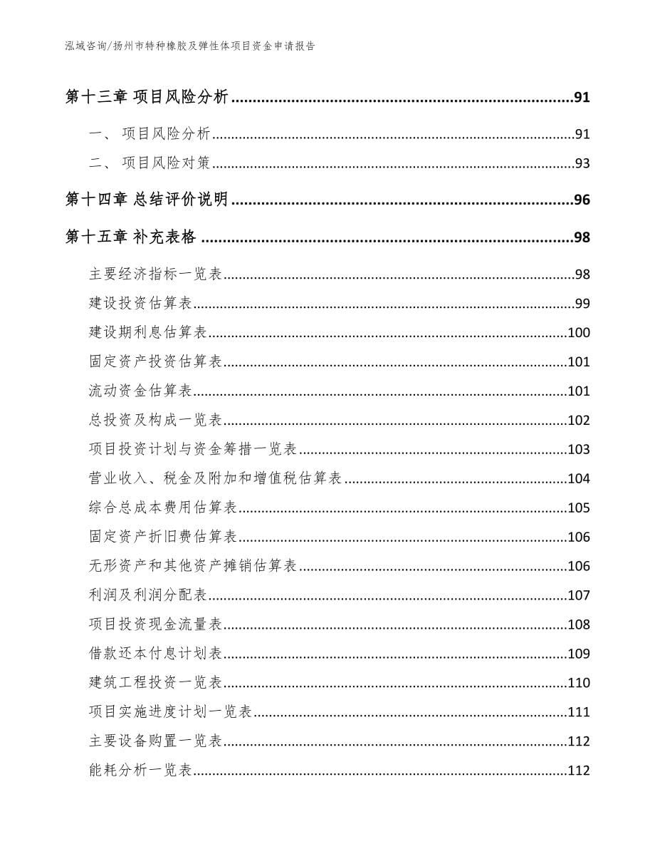 扬州市特种橡胶及弹性体项目资金申请报告【模板范本】_第5页