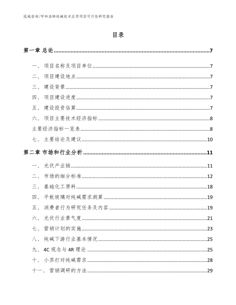 呼和浩特纯碱技术应用项目可行性研究报告_第2页