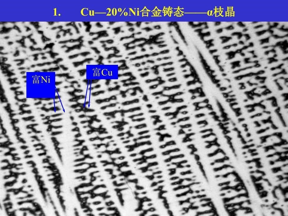 二元合金显微组织分析_第5页