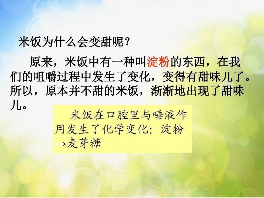 教科小学科学六下《2.3、米饭、淀粉和碘酒的变化》PPT课件(3)_第5页