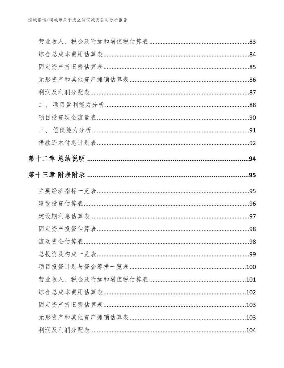 桐城市关于成立防灾减灾公司分析报告_第5页