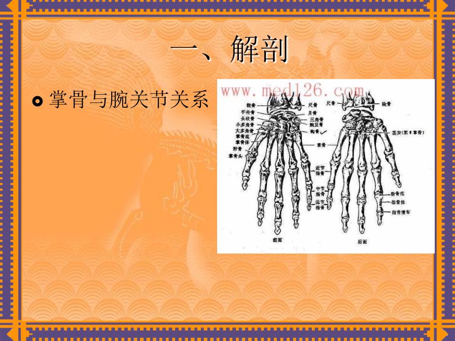 掌骨骨折演示文稿_第4页