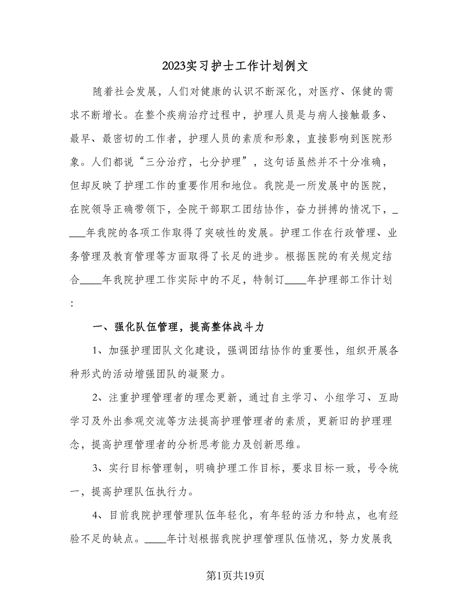 2023实习护士工作计划例文（4篇）_第1页