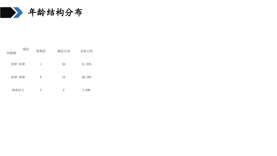 某某公司人力资源工作计划课件_第4页