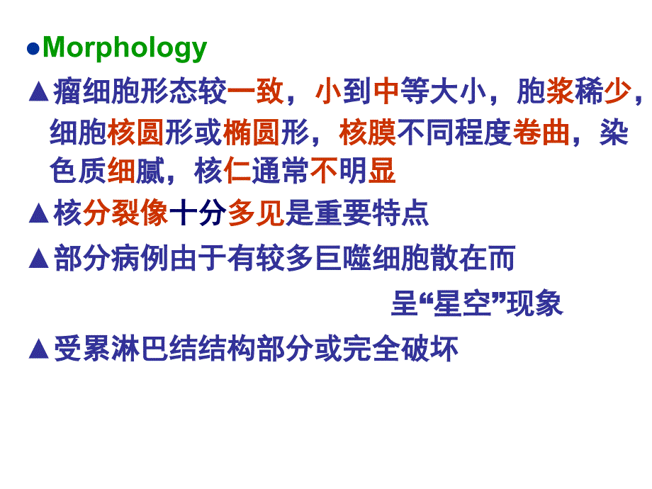 医学]南方医科大学病理学课件淋巴组织疾病知识讲解_第5页