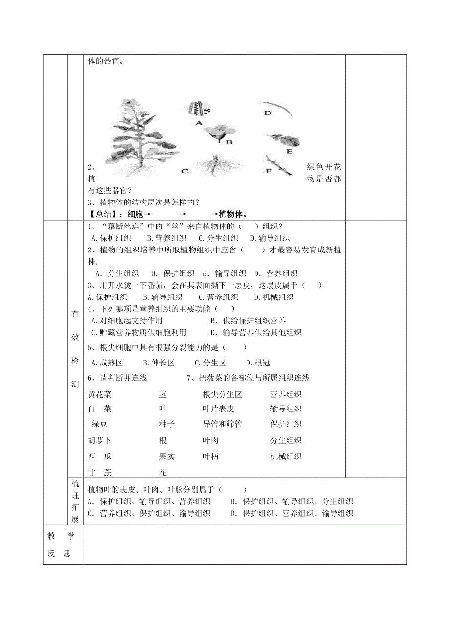 精选类七年级生物上册第二单元第二章第三节植物体的结构层次导学案1无答案新版新人教版通用_第2页