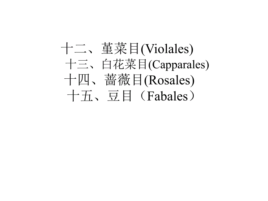 植物学教学课件：堇菜目(Violales)_第1页