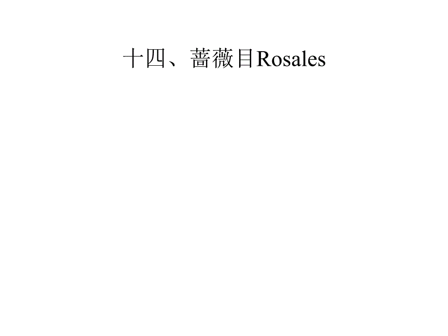 植物学教学课件：堇菜目(Violales)_第2页