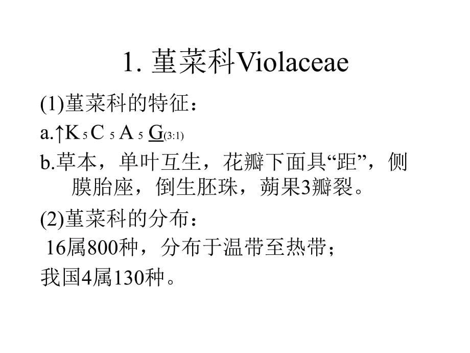 植物学教学课件：堇菜目(Violales)_第5页