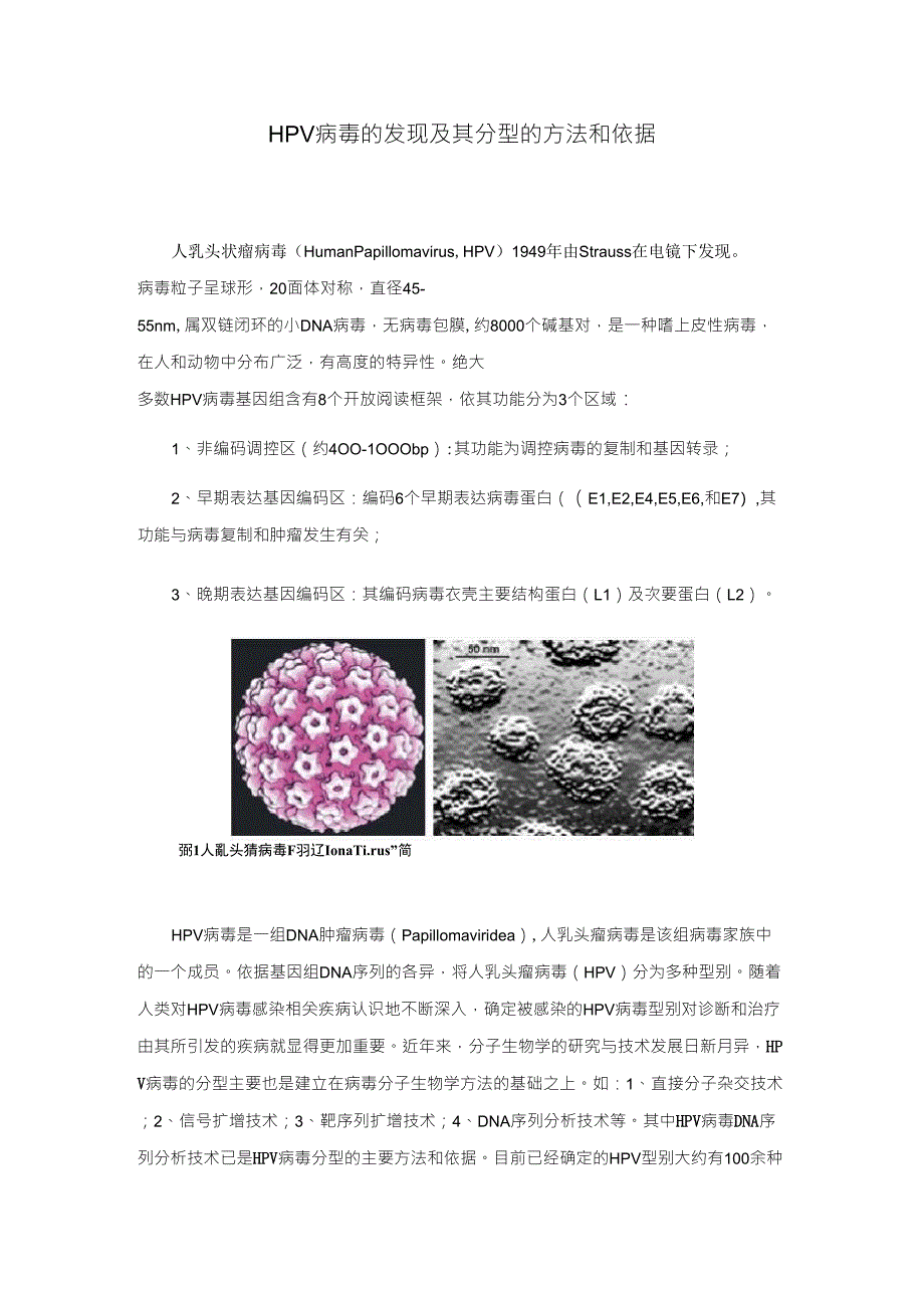 HPV病毒的发现及其分型的方法和依据_第1页