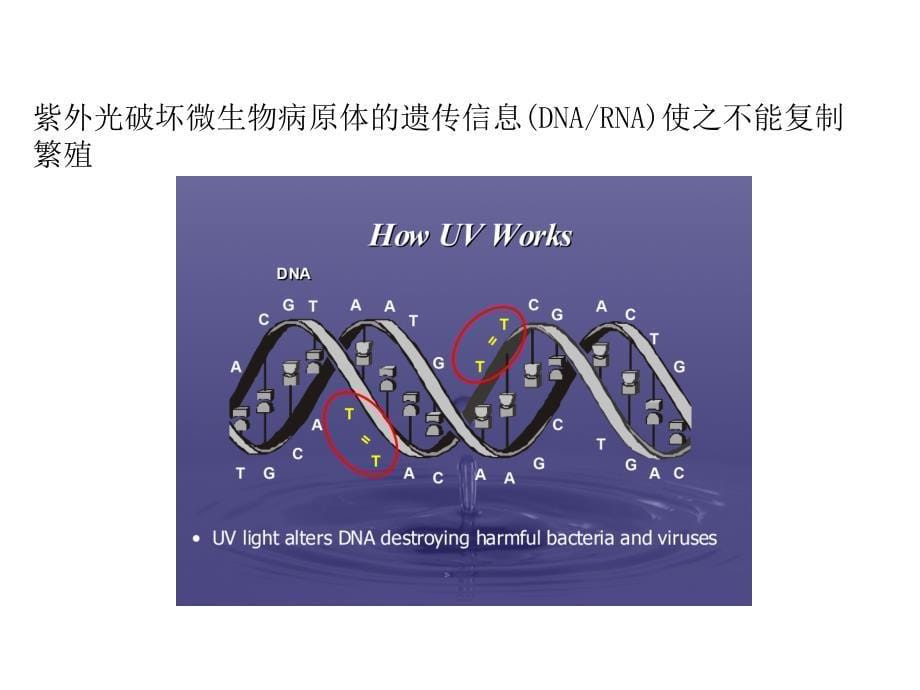 紫外线消毒的特点和选型（通用原理-及侧重水处理）_第5页